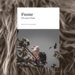 Faune