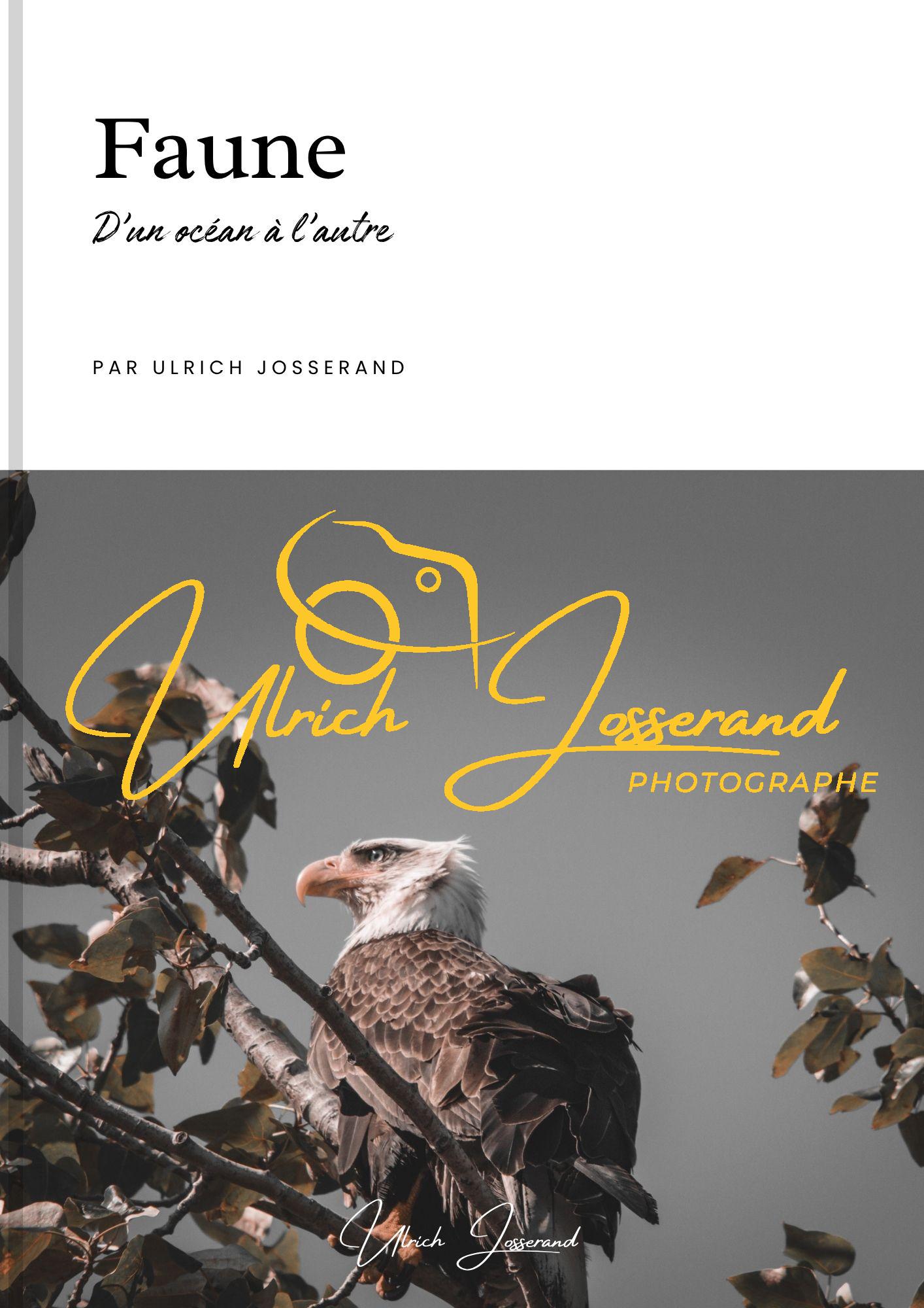 Faune Faune