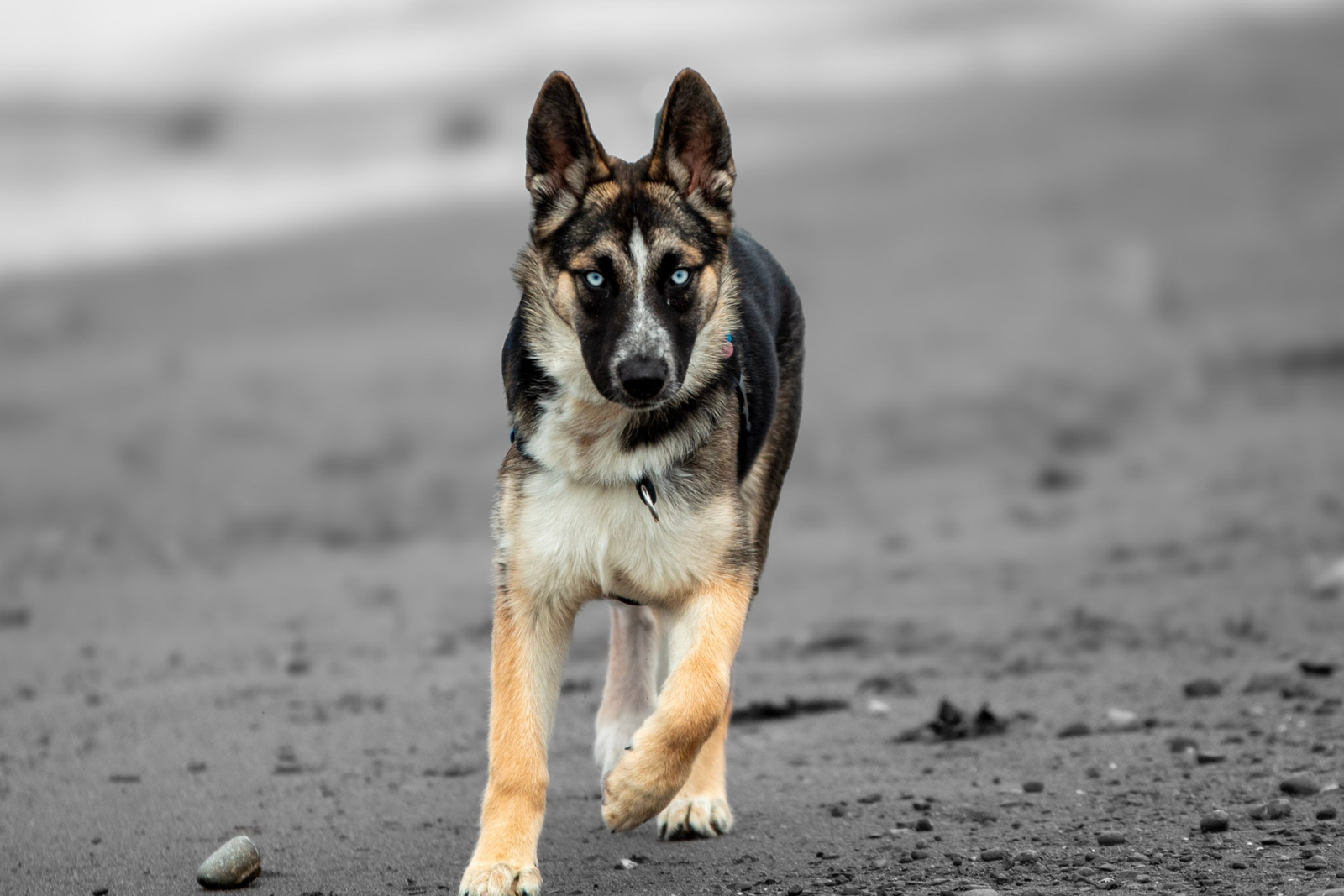 Kigga sur la plage regard