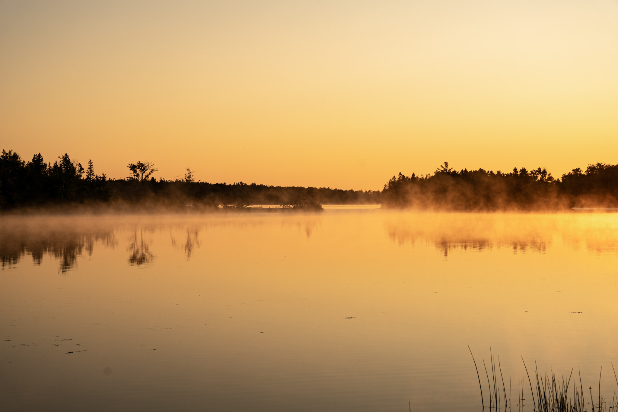 Sunrise