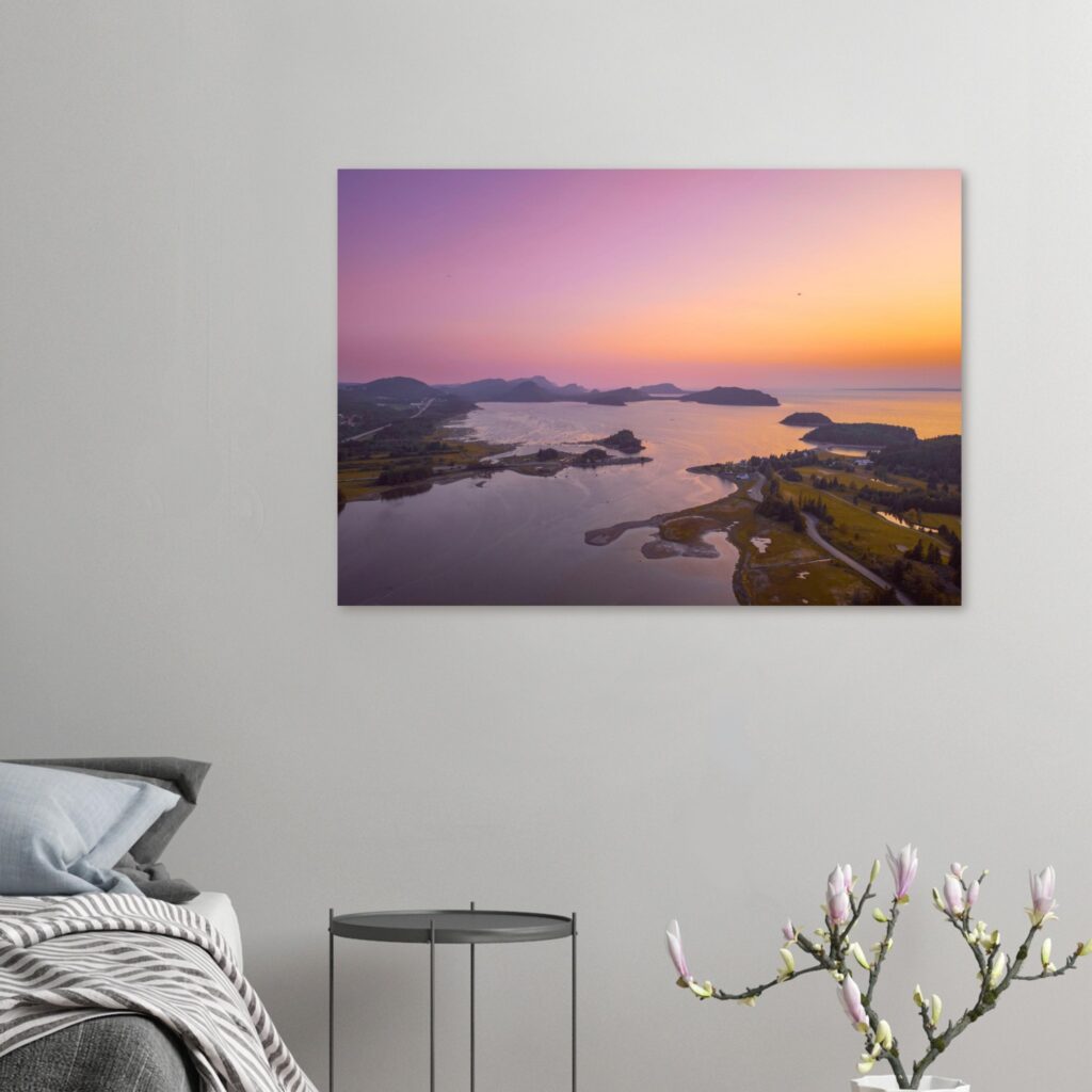 907d8318-7520-4bd4-8d8c-67da7e38822d