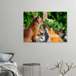 de6573c1-a393-4692-b3a0-93ddf59f69bb