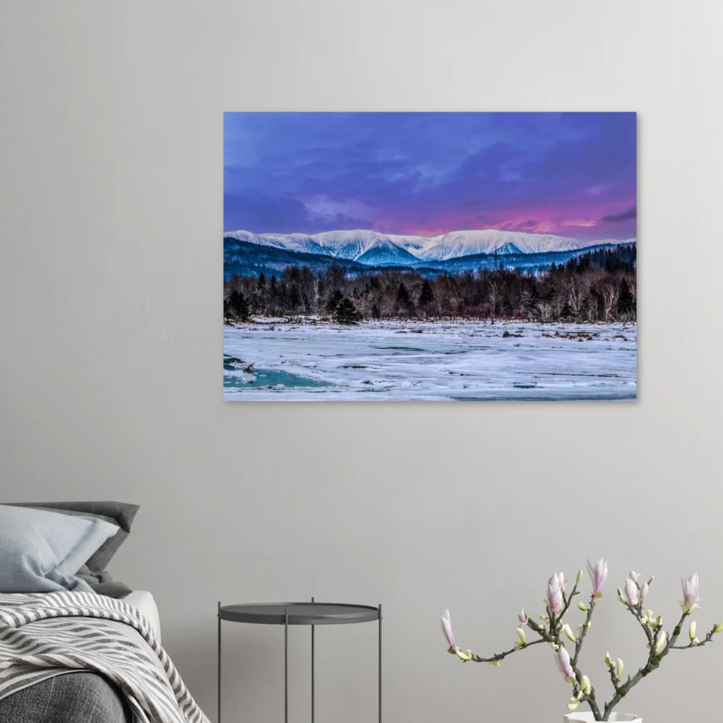 e9e143bf-b028-4e88-9b23-ccd74ba3f3b5